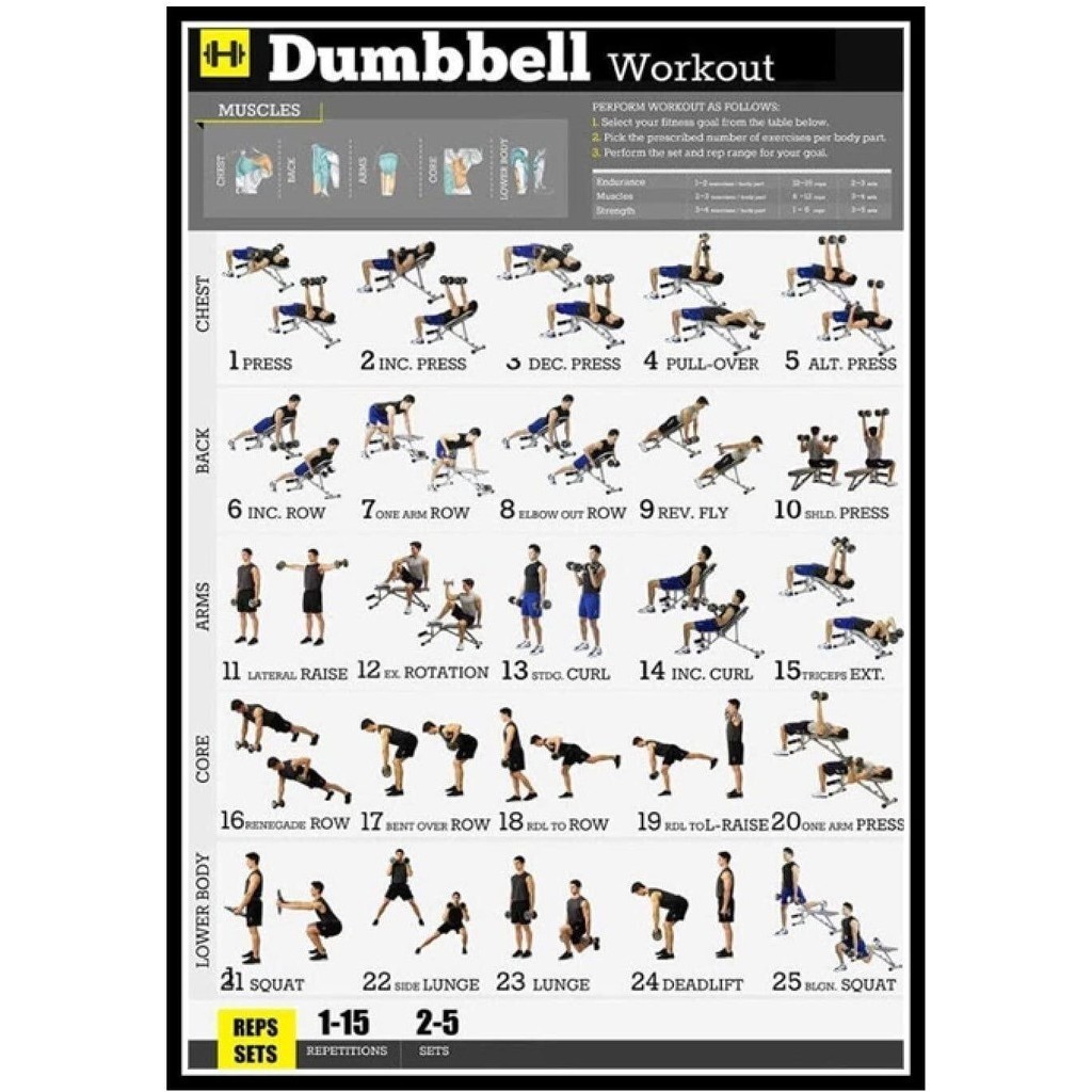 Dumbbell Workout Exercise Body Strength Pose Instructional Poster Art ...