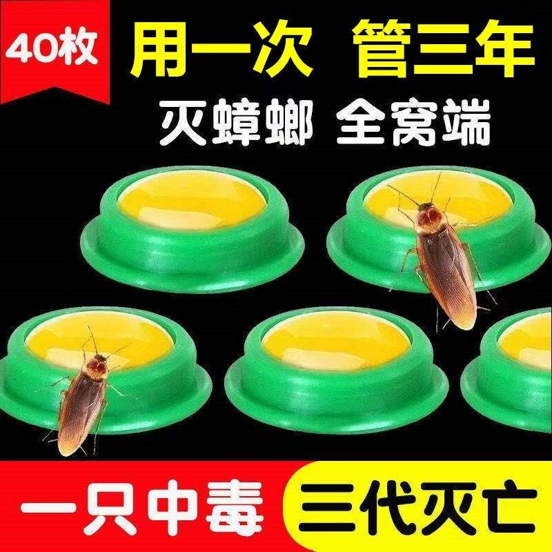 Cockroach medicine potent household non-toxic one nest end Kanti-toxic ...