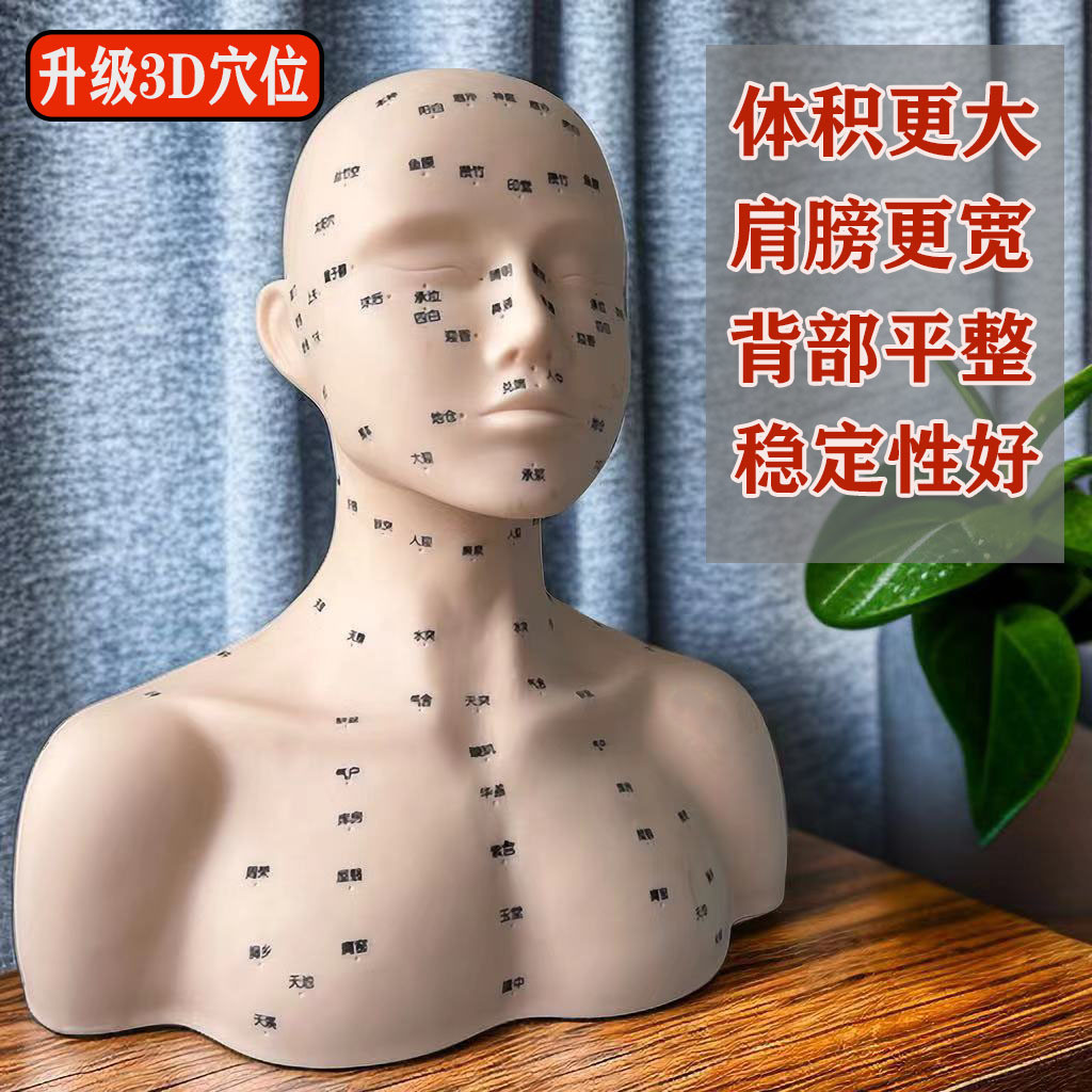 Beauty Salon Massage Practice Method Head Model Facial Acupoint ...