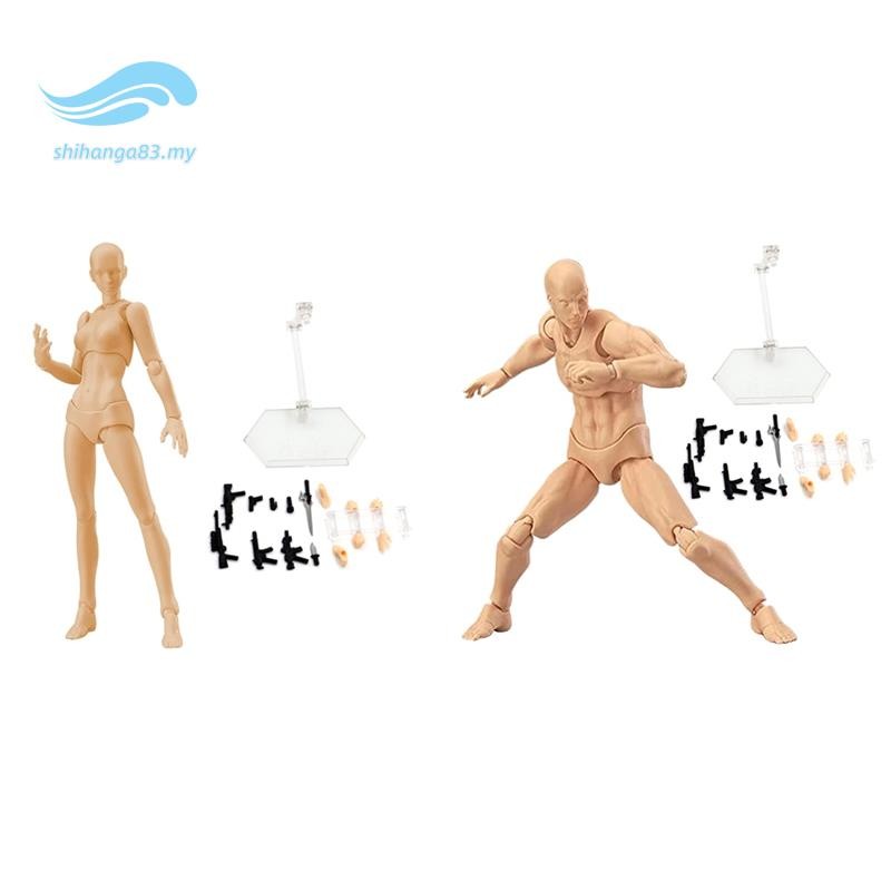 Action Figures, Drawing Models Figure Artist Draw Painting Model with ...