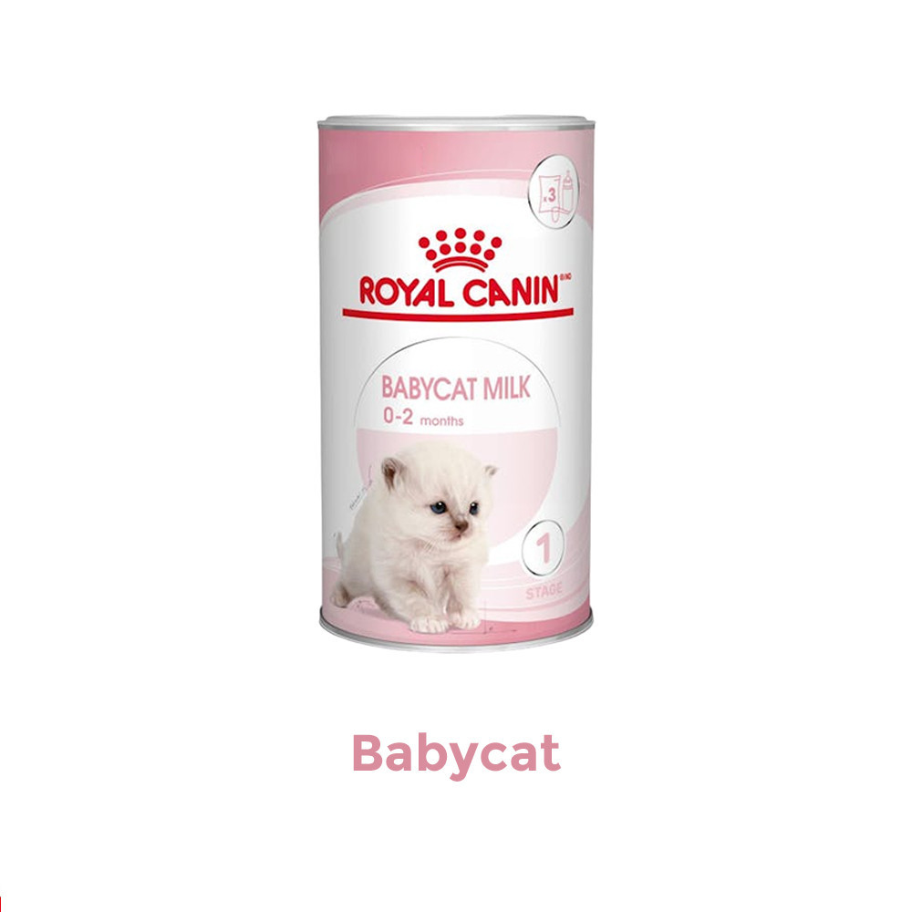 Royal Canin Babycat Milk 300 G Vs Royal Canin Babycat Milk 300 G