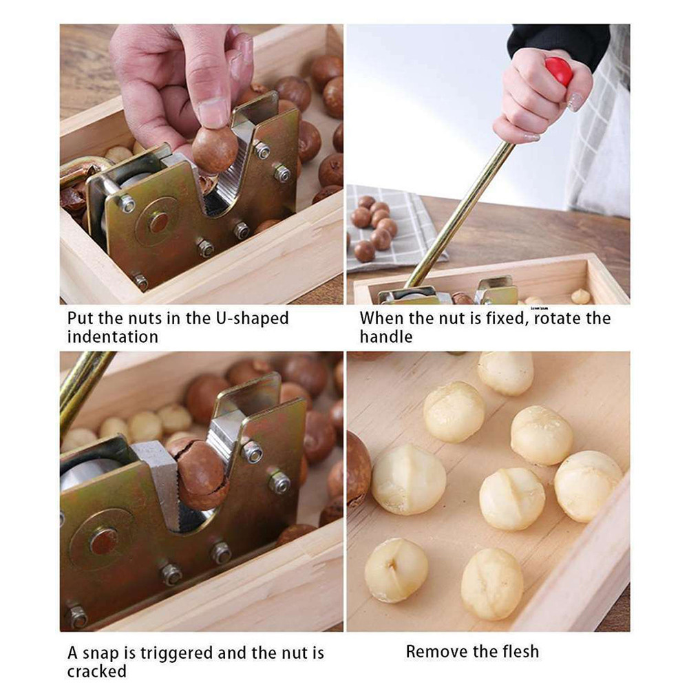 Multifunctional Cracker Shell Breaker Fast Open Nut Opener for Hazelnuts Almonds Shopee Malaysia