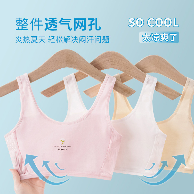 Girls Underwear Developmental Tube Top Girls Elementary School Students ...