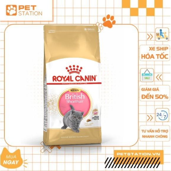 Royal CANIN British Shorthair Kitten 10kg Grain food for British