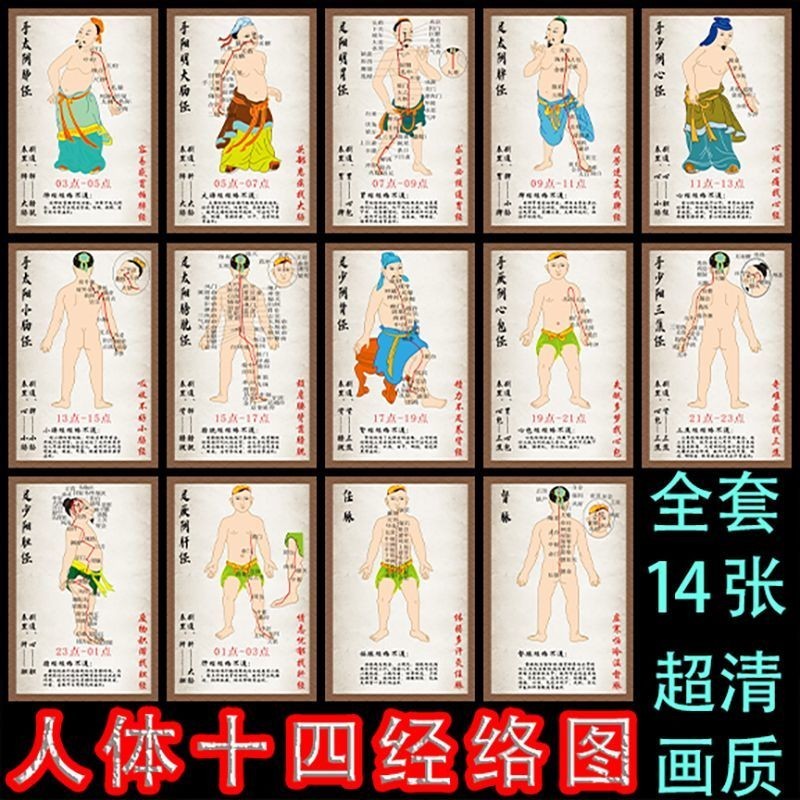 Ready Stock spot Human Body Fourteen Meridian Patterns Set Pictures ...