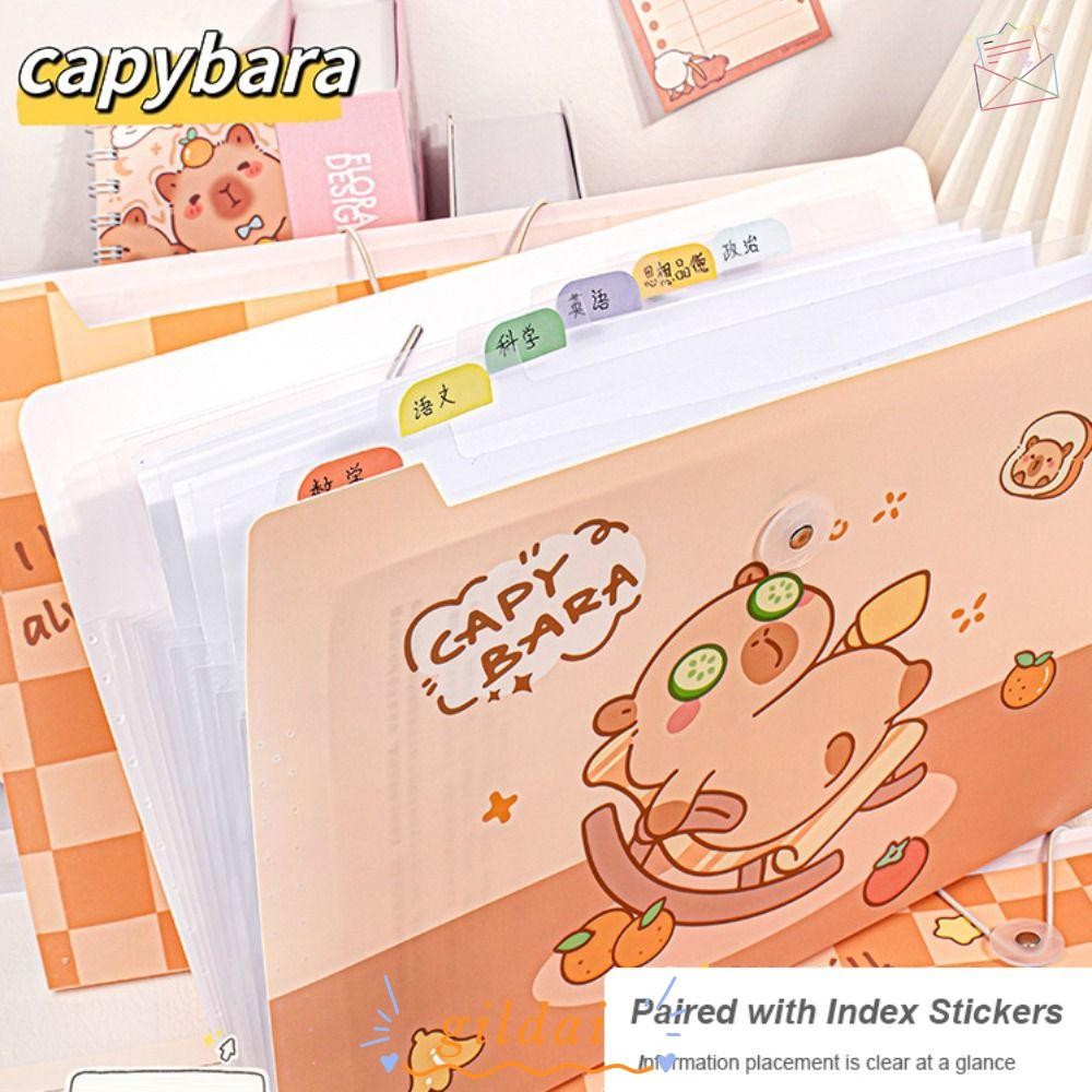 GILDAI Test Paper Storage Folder, Creative Capybara A4 File Folder