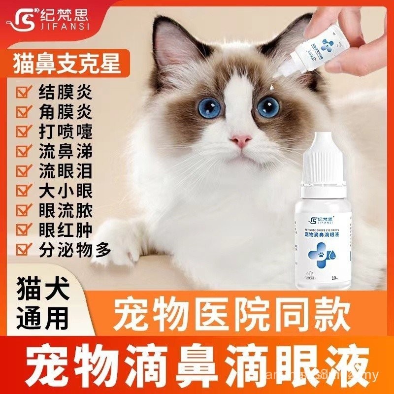 Eye Draw Eye Drawop Givenchy Cat Nasal Sticks Cat Eye Water Anti ...
