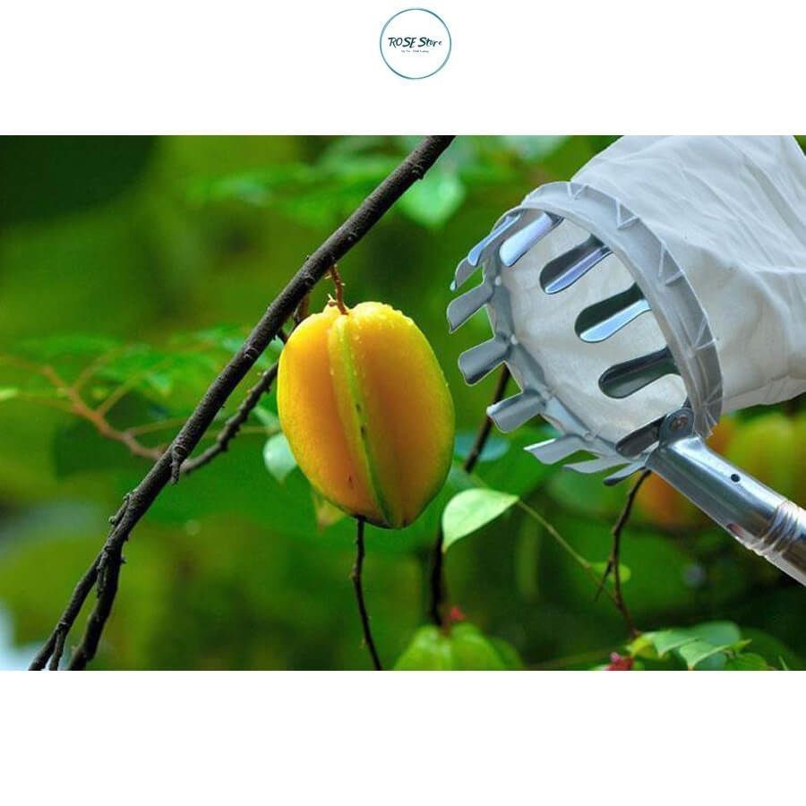 High Fruit Picking Racket with Cloth Bag. | Shopee Malaysia