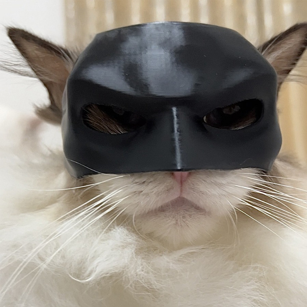 Batman cat hi-res stock photography and images - Alamy, image size:1024x1024