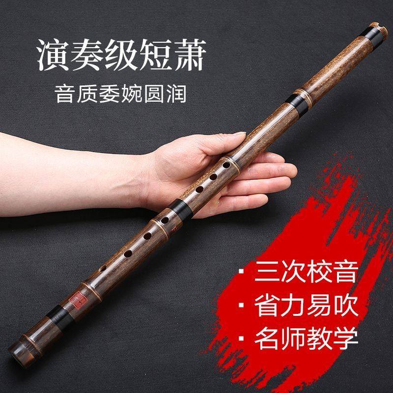 【现货】Vertical bamboo flute， Musical instrument 零基础入门洞箫便携苦竹高级短萧迷你小笛子古风六F调 ...