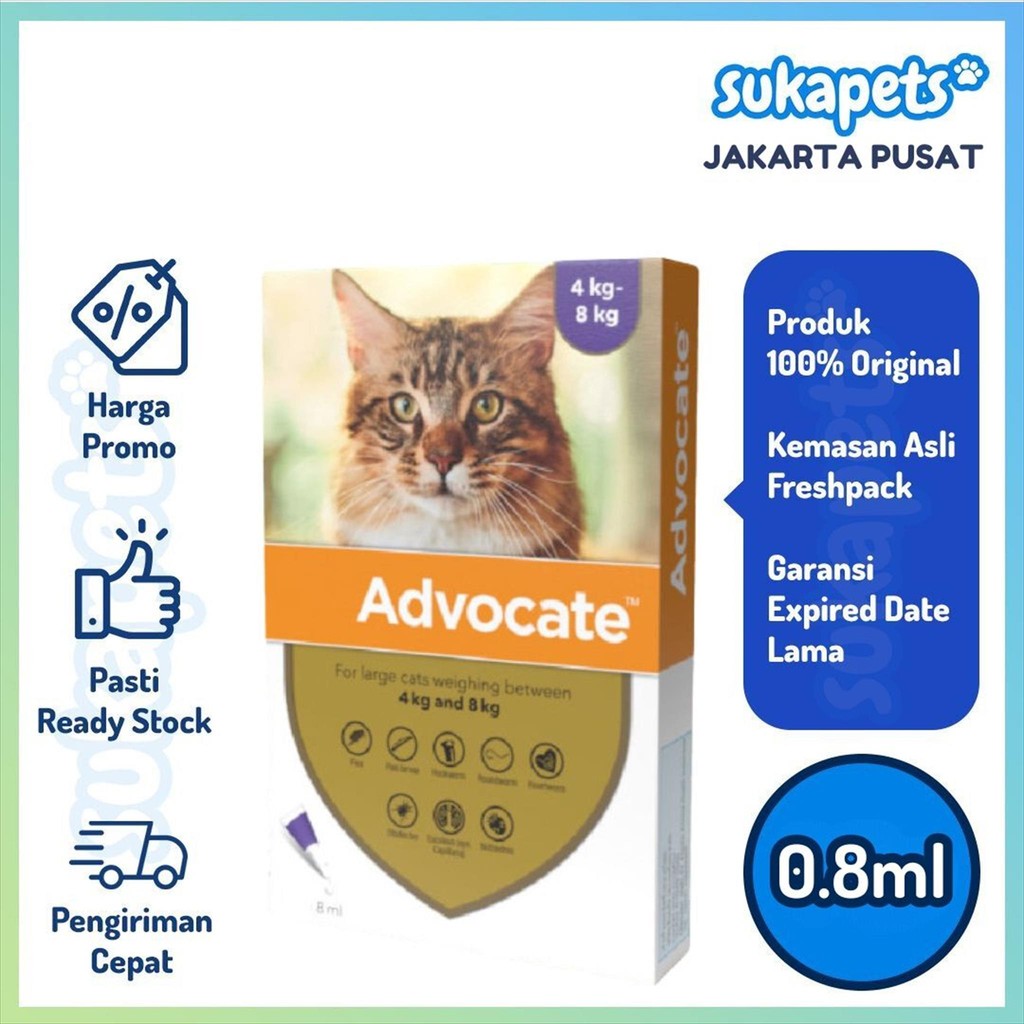 Advocate Cat Medicine For Cat Lice Weight 4kg To 8kg 1 Pipette Shopee