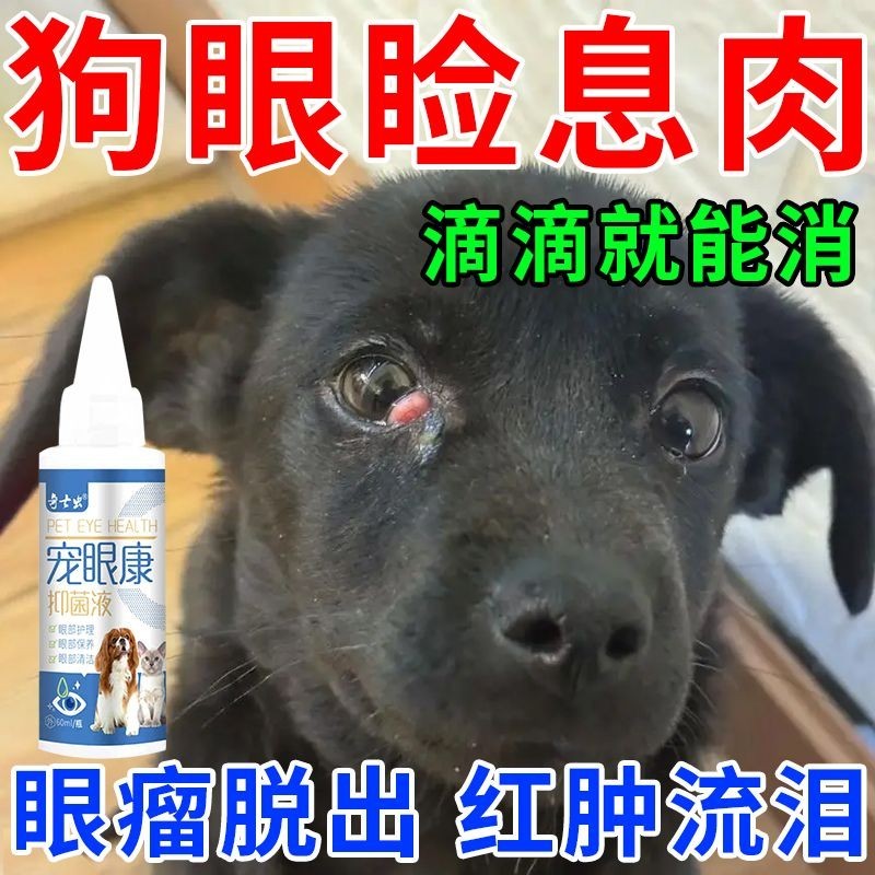 Dog Cherry Eye Drops Eye Drops Liquid Pet Third Eyelid Eye Growth Take off Inflammation Eyes Relieve Fleshy Red Swelling Remove Tears 8.6 Shopee Malaysia