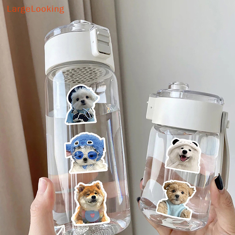 200 PCS Funny Cat & Dog Meme Stickers - Waterproof Vinyl Sticker Pack For Adults