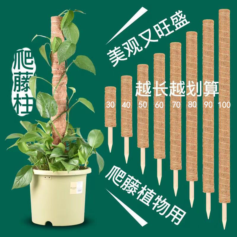 Coconut Palm Stick Column Turtle Back Bamboo Palm Column Stick Climbing ...