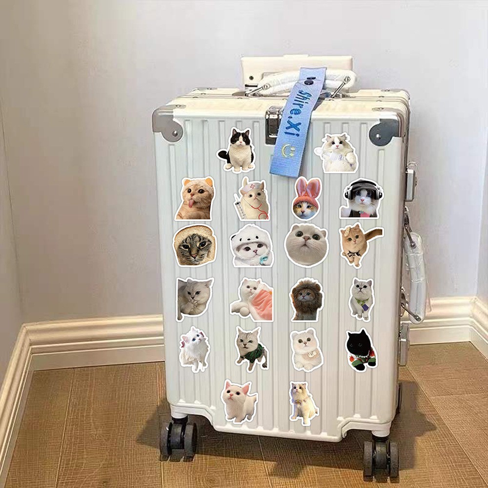 MEOW Cat Cute 60 pcs DIY Waterproof Non Repeating Stickers Pack ...