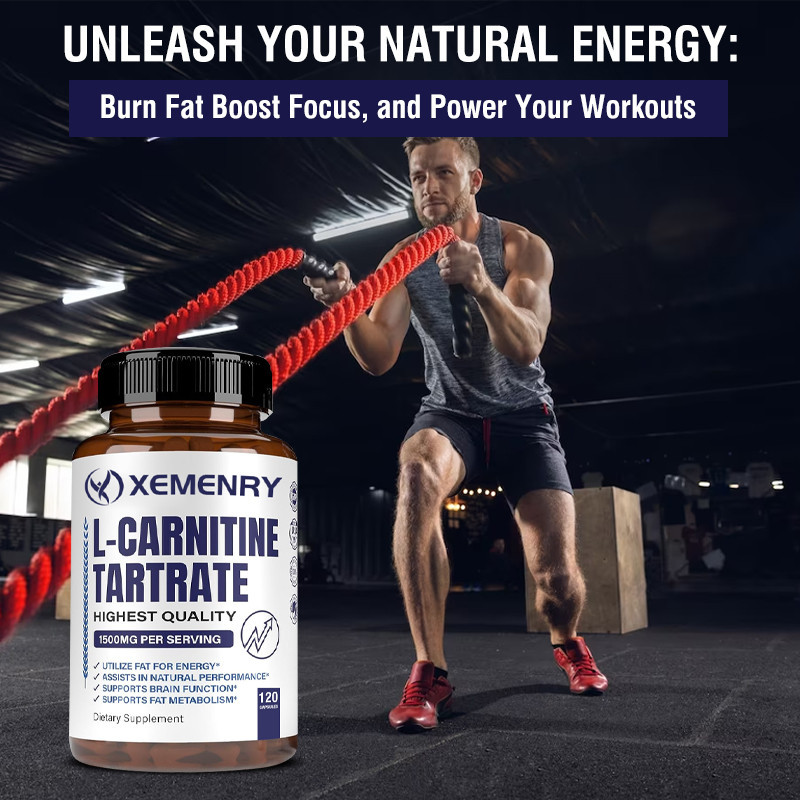 l carnitine cycle L-Carnitine w/ Fucoxanthin | Fat Loss Support