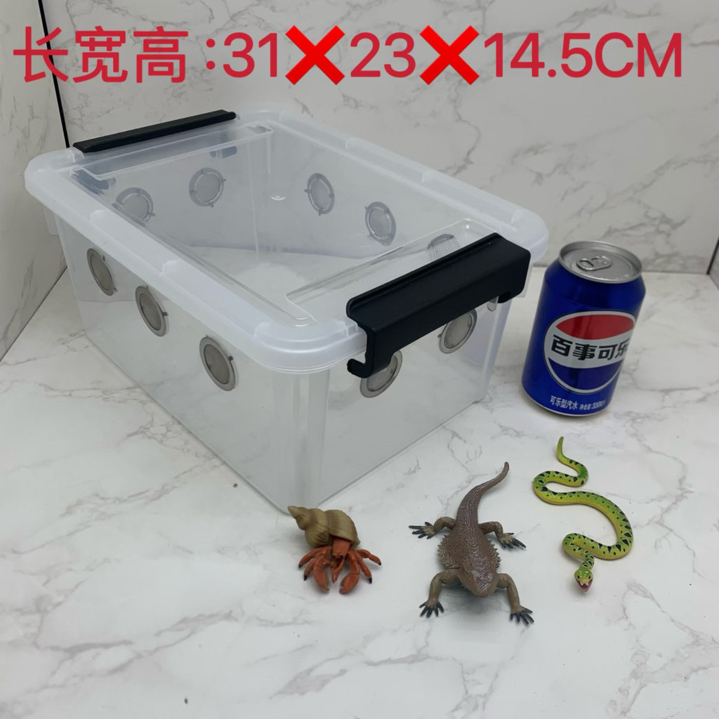 Curated visual reference: Picture Idea: Rat Woman Breeding Box Pet Watermelon Worm Package Centipede