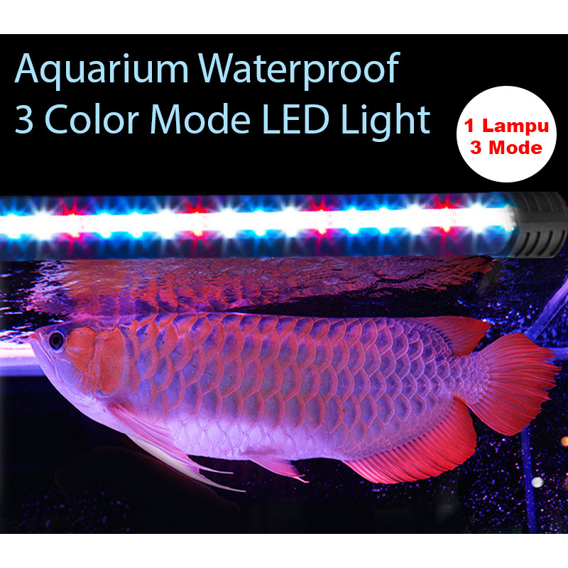 Aquarium Led Light Waterproof Light Submersible Arowana Fish Tank Light ...