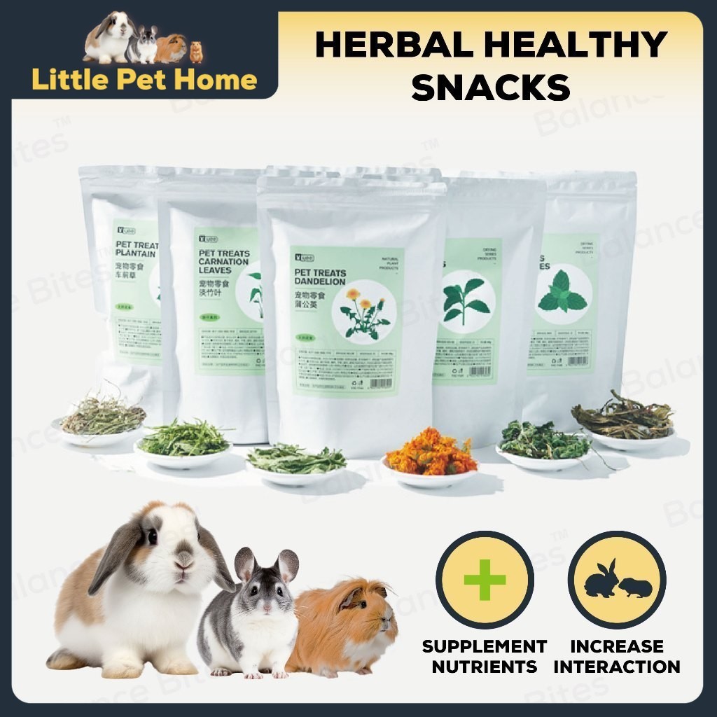 View of Balance Bites Yee Supplement Herbal Healthy Snacks Rabbit Guinea Pig ...