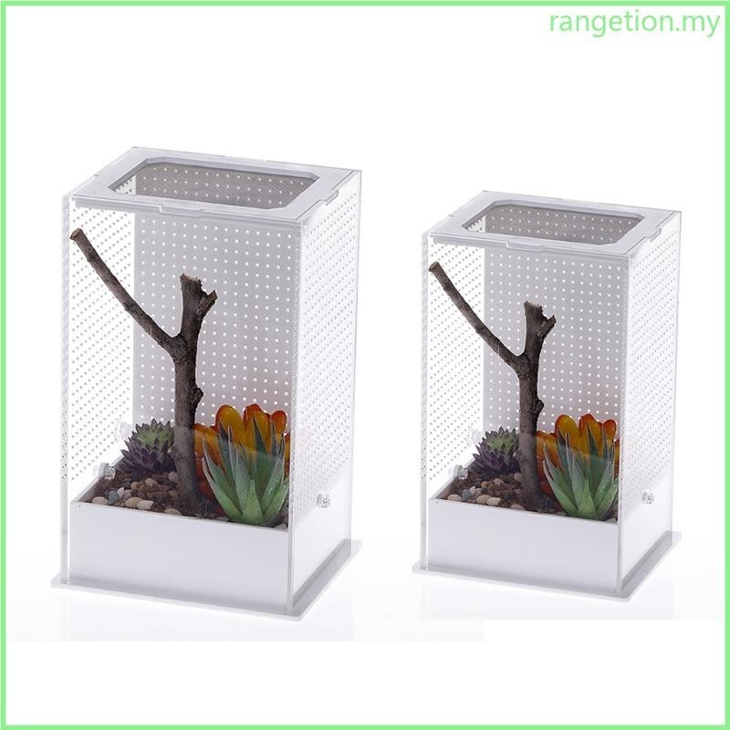 RAN Insect Feeding Box Plastic Transparent Breeding for Case for Spider ...