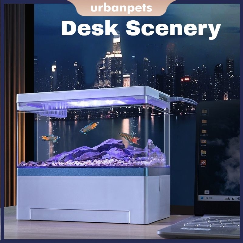 Mini Desktop Fish Tank Bottom Filter High Transparency Acrylic Aquarium ...