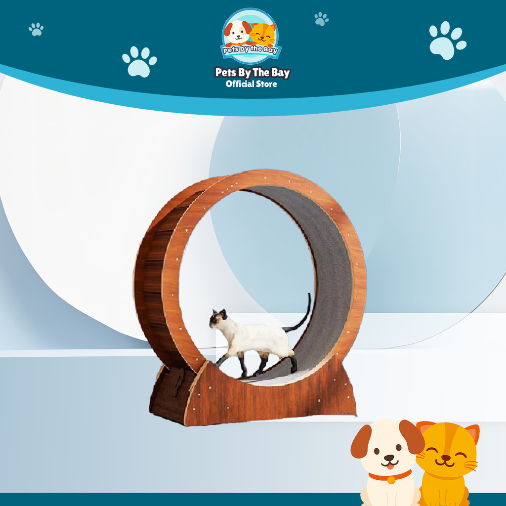 🐾Roda Senaman & Mainan Kucing🐾 Spot Wooden Cat Treadmill Pet Sports ...