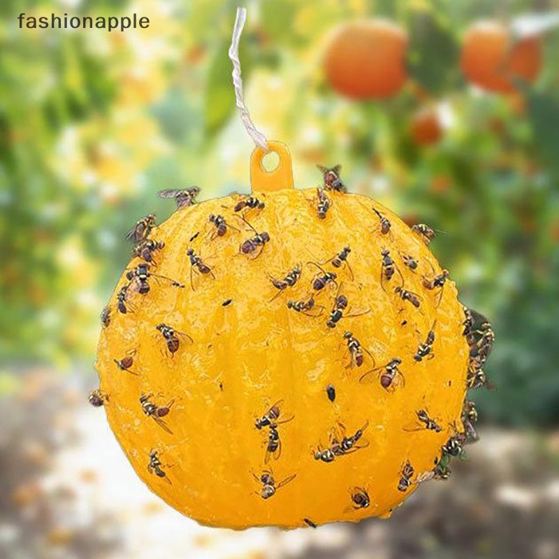 FAMY Fruit Fly Trap Killer Plastic Drosophila Trap Anti Fly Fruit Fly ...