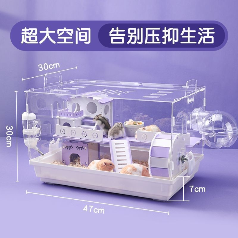 金丝熊仓鼠笼子专用两只便宜大的全景透明亚克力饲养箱双层特大号Golden Bear Hamster Cage Special Two