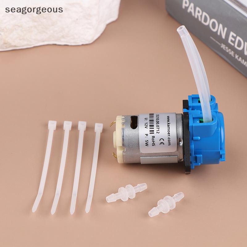 Sgmy Self-priming Pump DC Water Pump Small Pump Mini Water Pump ...
