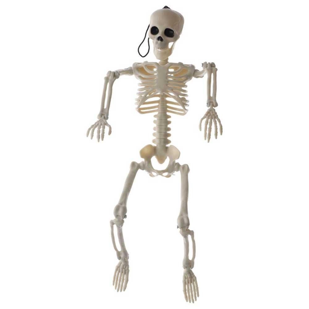 DYRUIDOJ Human Skeleton Model Halloween Children Gift Decoration ...