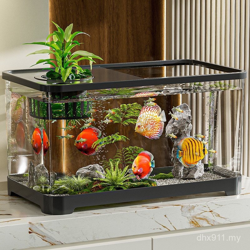 Fish tank container best sale