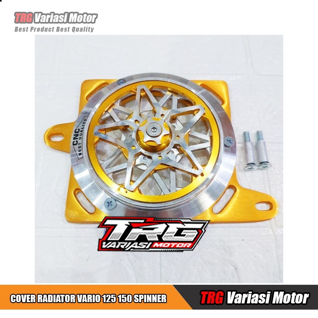 Vario 160 Radiator Cover Vario 160 PCX ADV Stylo Radiator Cover Two ...