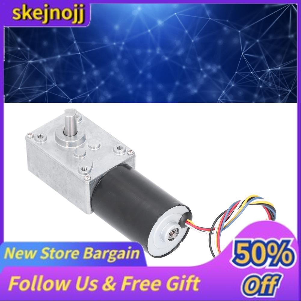 Skejnojj DC Brushless Worm Gear Motor Low Noise Electric Gearbox