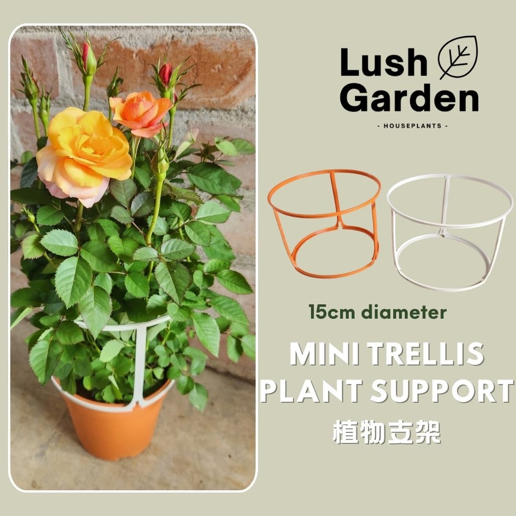 LUSH GARDEN Trellis Plant Support Climbing Flower Support Stand Frame ...