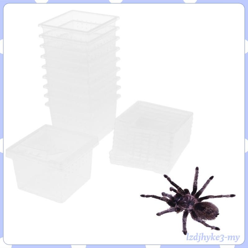 [ 10 Pcs Reptiles Amphibians Habitat Terrarium Vivarium Tank Breeding