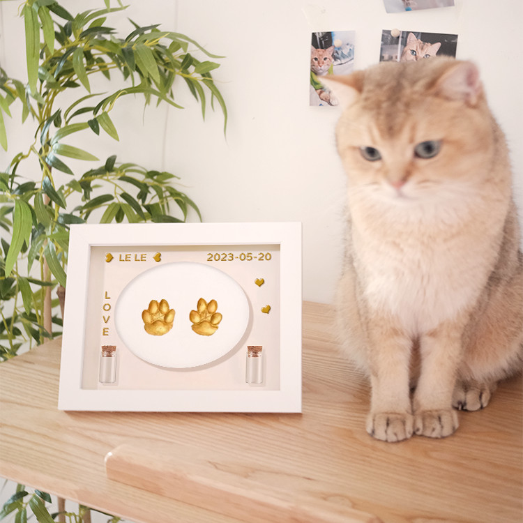 Pearhead Fotolijst met dierenpootafdruk en klei-opdruk kit - houten fotolijst, doe-het-zelf no-puinprint aandenken, perfect voor katten en honden, ideaal gedenkteken en woondecoratie cadeau