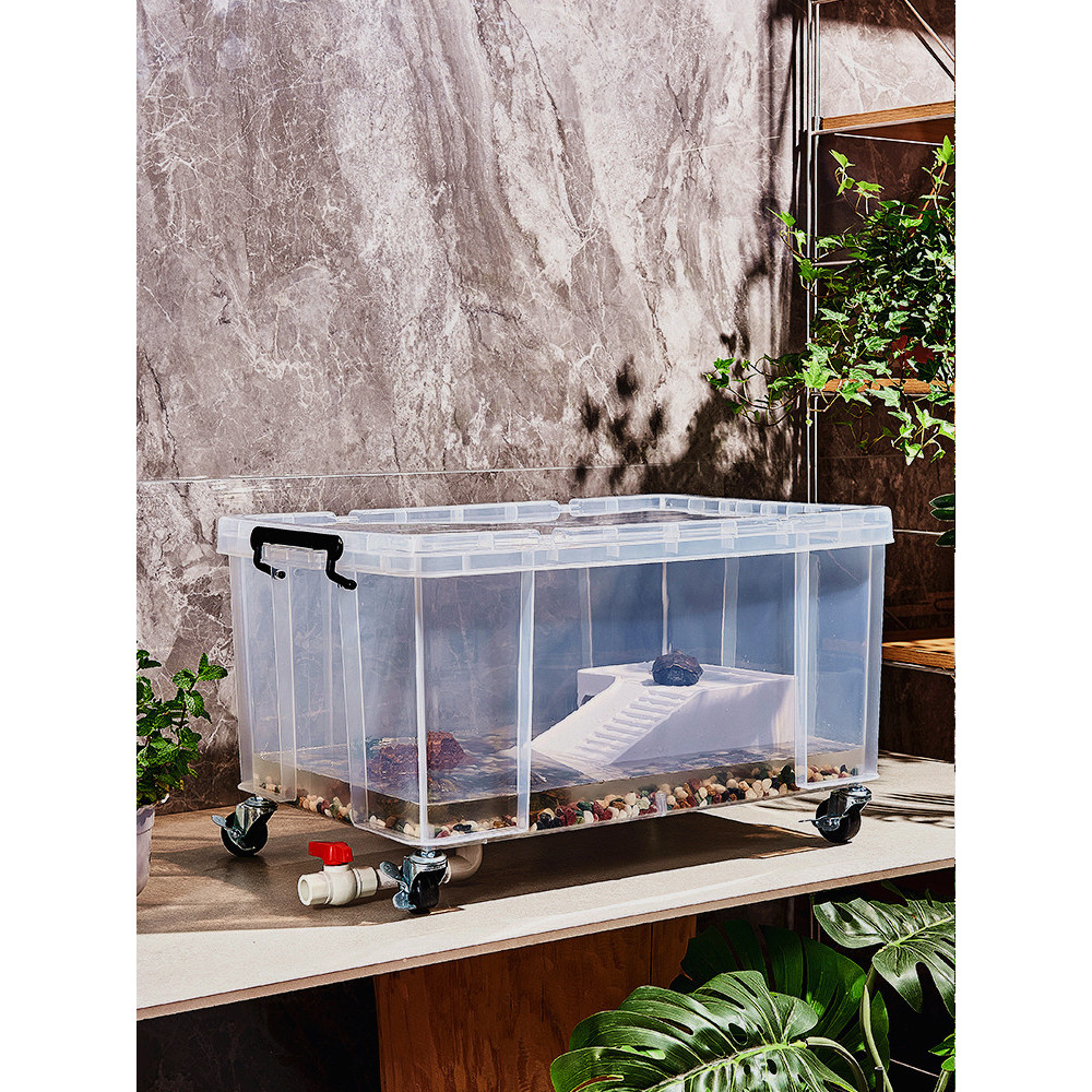 Turtle Tank Transparent Snapping Turtle Breeding Box with Lid Grass ...