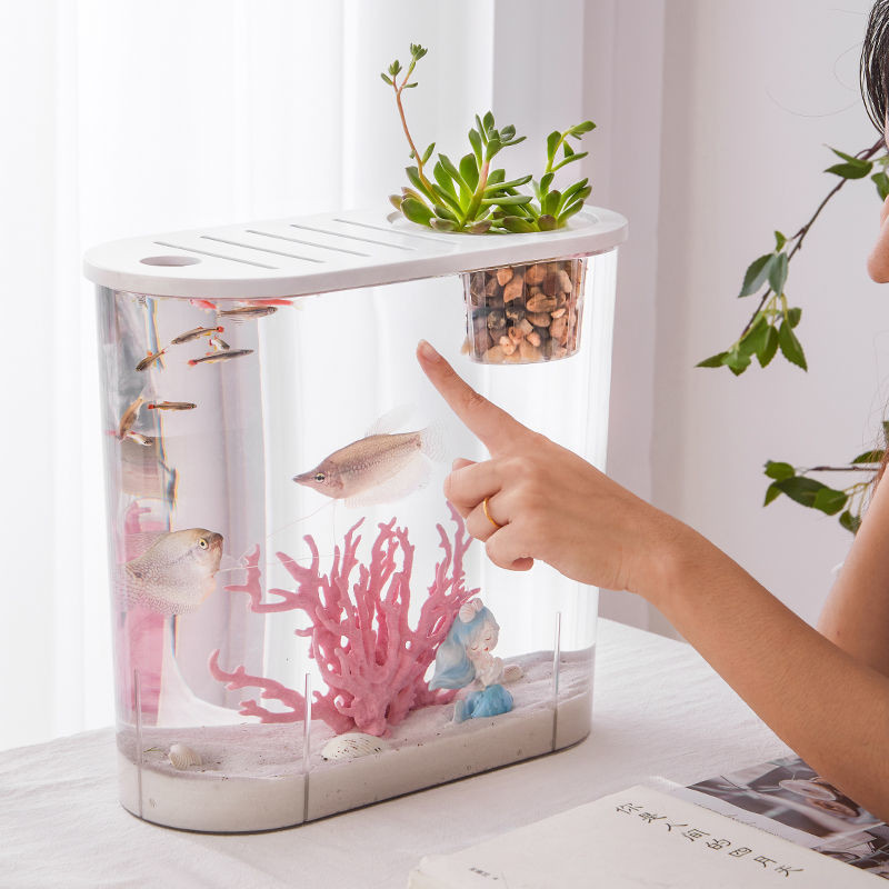 Betta Aquarium,Transparent Fish Aquarium Desktop | Small Betta Fish