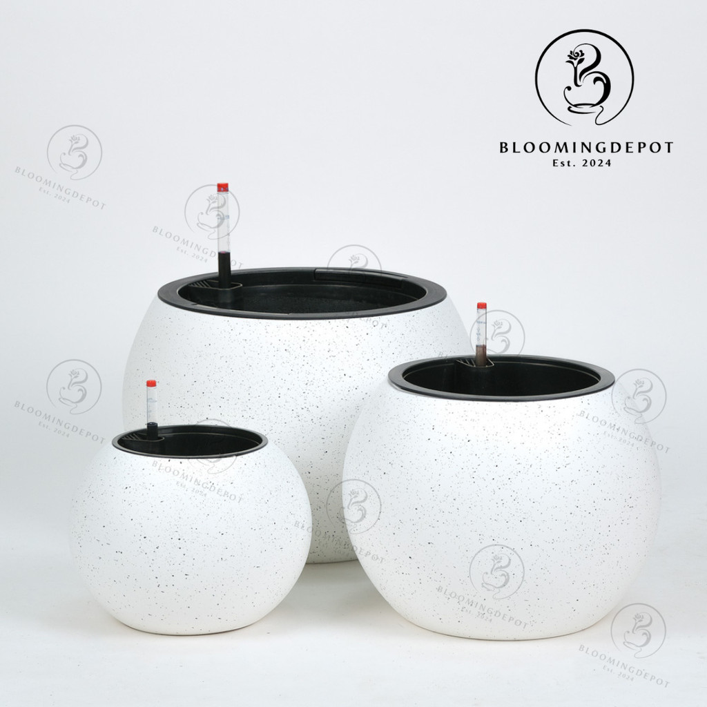 BLOOMINGDEPOT | Home Gardening | Flower Pot | Self Watering | Spherical ...