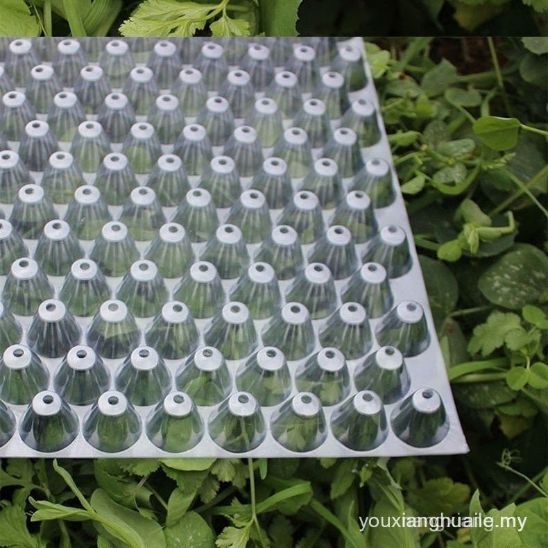 【In stock】Throwing Seedling Tray Rice Artificial Throwing Late Rice ...