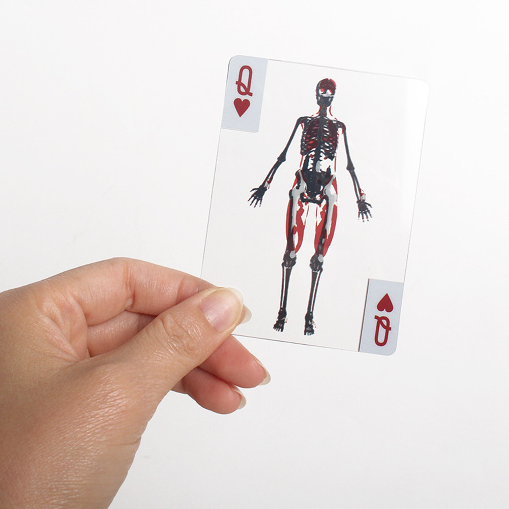 3D Image Educational Cards Wear Resist Body Transparent Playing Cards ...