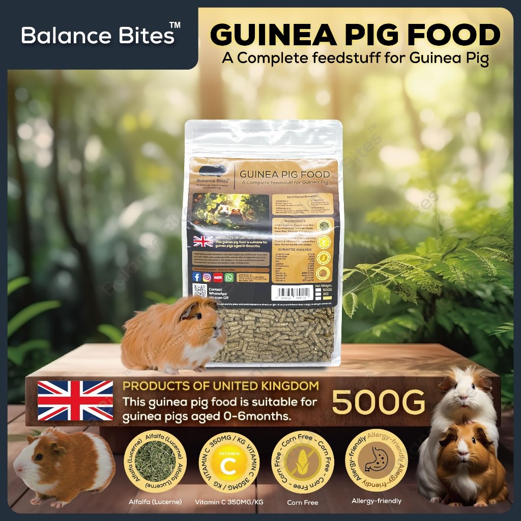 Flaxseed Guinea Pig Meal Ideas Reference: Balance Bites Guinea Pig Food Complete Feedstuff For Guinea Pig