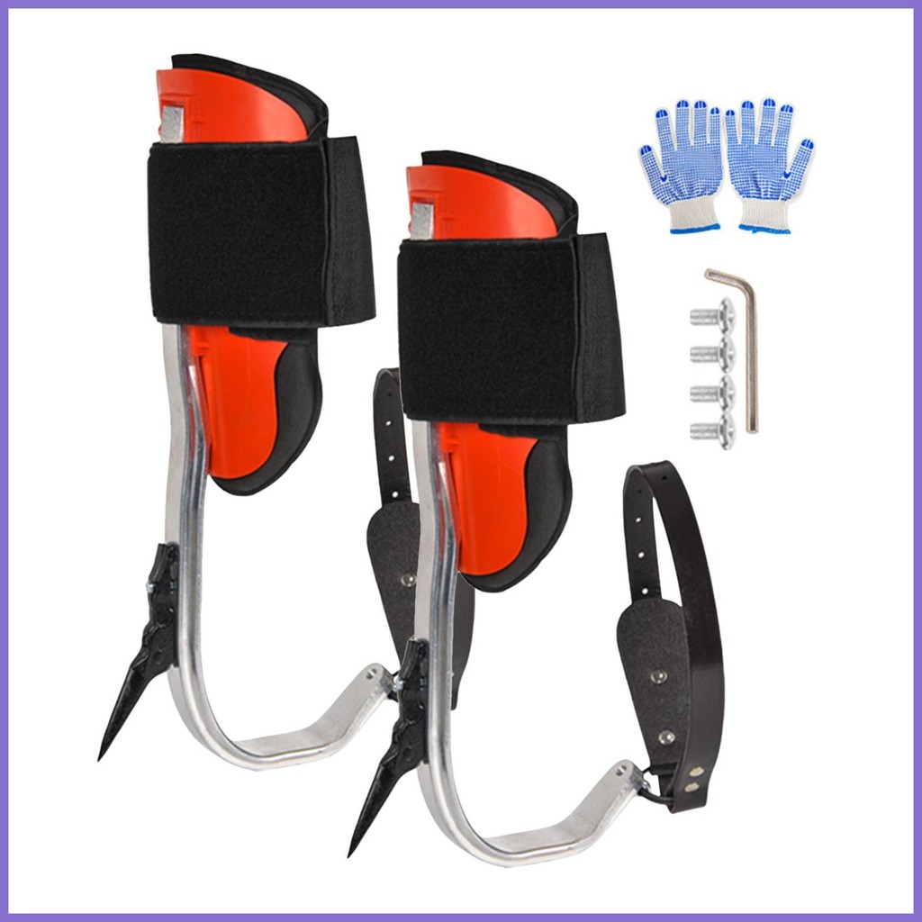 Tree Climbing Spikes Pole Climbing Gear Tree Gaffs Tree Harness ...