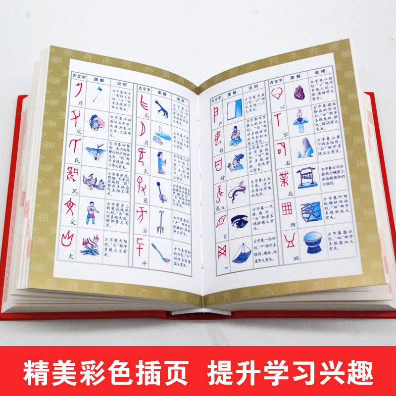 小学生全笔顺字典注音笔画部首结构写字规范字典小学生一年级必考Elementary school students' complete ...