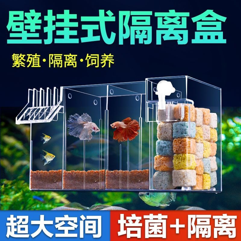 Fish Tank Betta Isolation Box Wall-Mounted External Incubation Box ...
