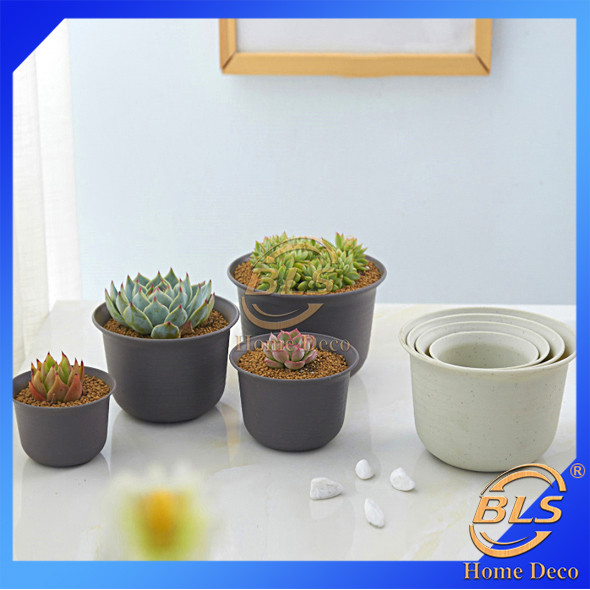 (Small ZB-Series) Flower Pot For Succulent Cactus Plant / Pasu Bunga ...
