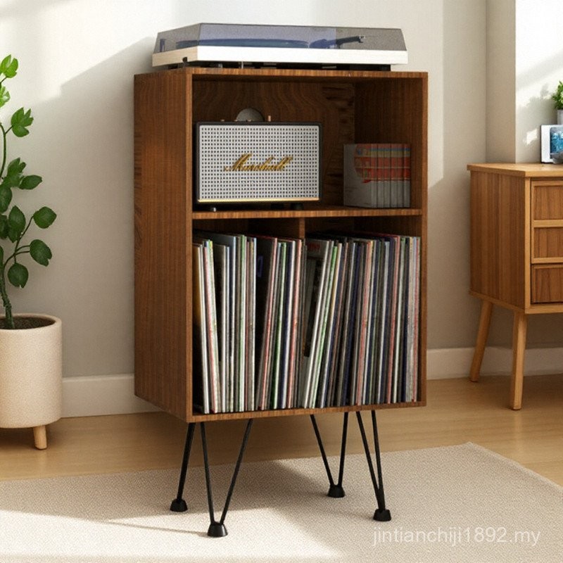 Vinyl Record Cabinet Vinyl Record Recording Rack Double Storage Cabinet ...