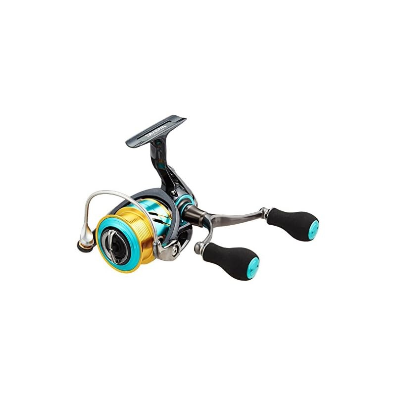 Direct from Japan] DAIWA Emeraldas MX 2508PE Spinning Reel Series