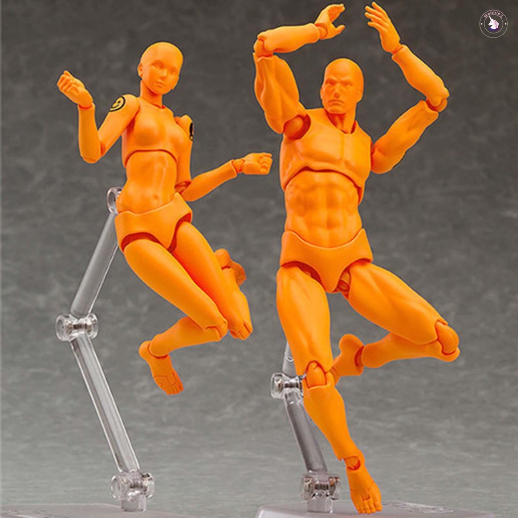 Human Body Model Toys Movable Joints Drawing Mannequin Figure Models ...