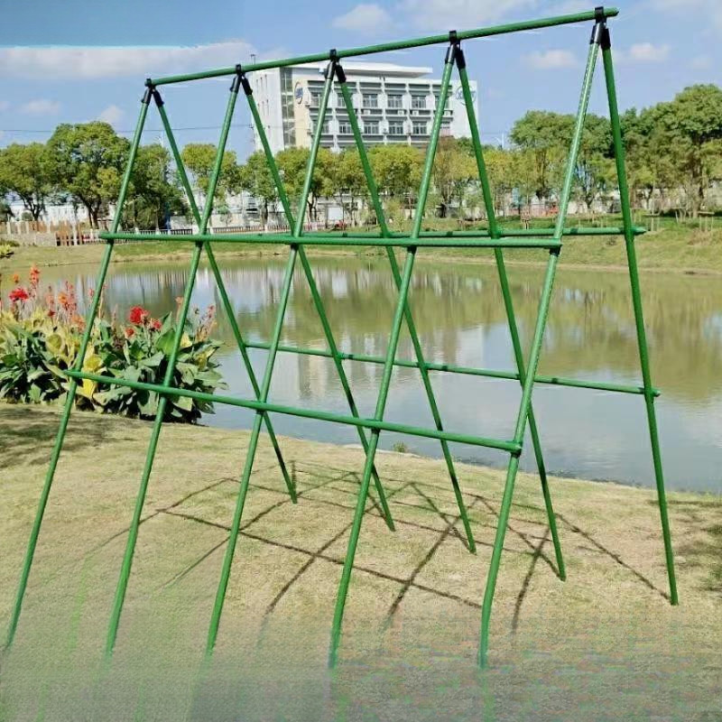 Vegetable Plant Climbing Rack Four Seasons Bean Growing Vegetables ...
